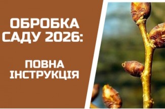 НЕ КРОПІТЬ САД ДАРЕМНО! Головна помилка 1-ї обробки у 2026 році