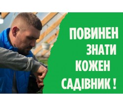 У чому різниця між сортом та гібридом